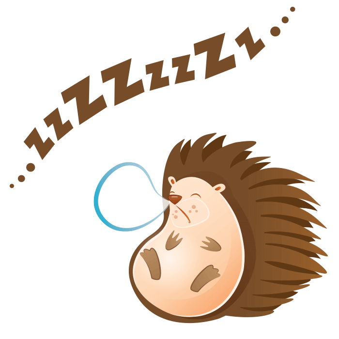 700 X 700 6 - Riccio Che Dorme Disegno (700x700), Png Download