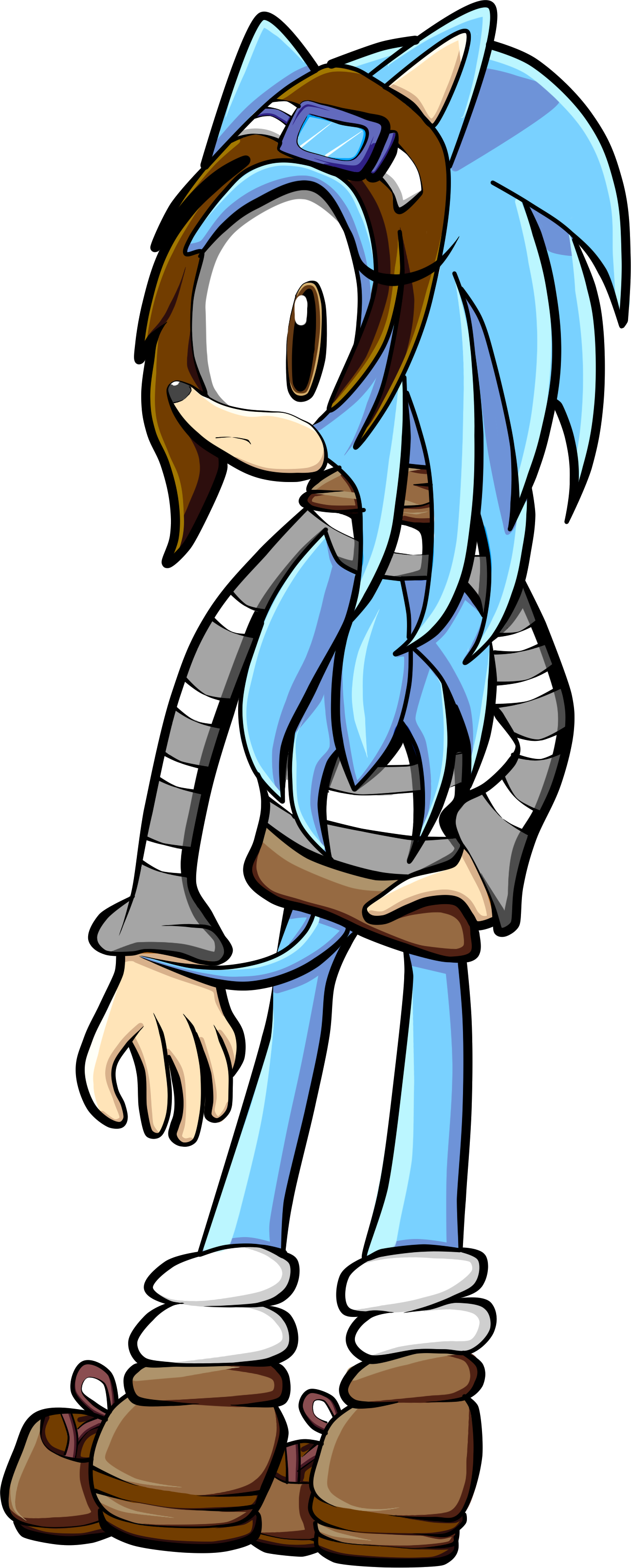 Aria The Hedgehog (1296x3217), Png Download