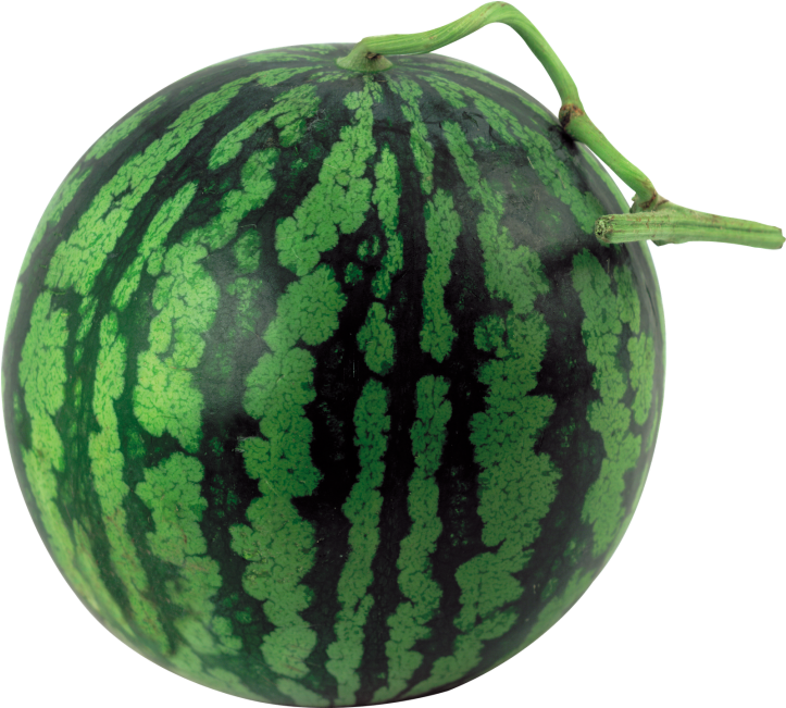 Water Melon - Загадки Про Фрукты И Овощи (866x650), Png Download