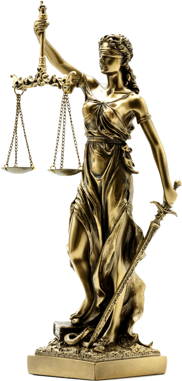 Aqa Law (400x816), Png Download