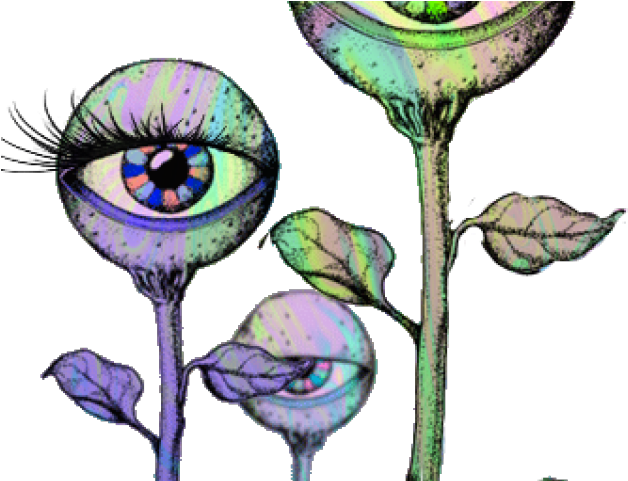 Psychedelic Eyes (640x480), Png Download
