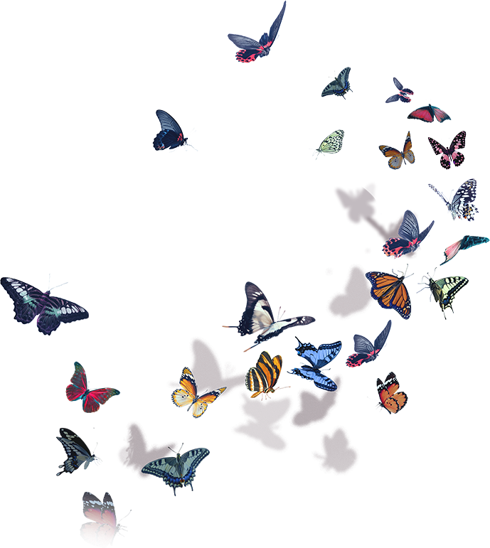 Butterflies Halsey - Halsey World Tour 2018 (689x771), Png Download