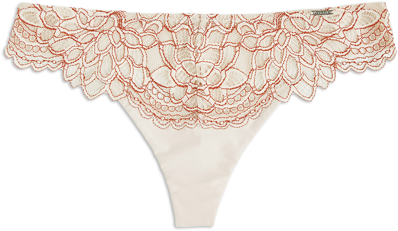 Thong Low 4,95€ 9,99€ - Panties (888x888), Png Download