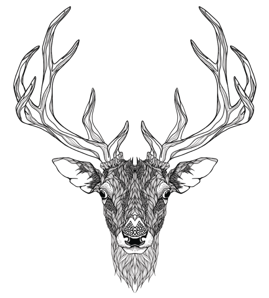 Elk Abziehtattoo Deer Totem Red Free Transparent Image - Deer Head Illustration (1024x1024), Png Download
