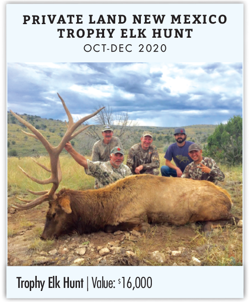 Private Land New Mexico Trophy Elk Hunt - Trophy Hunting (600x600), Png Download