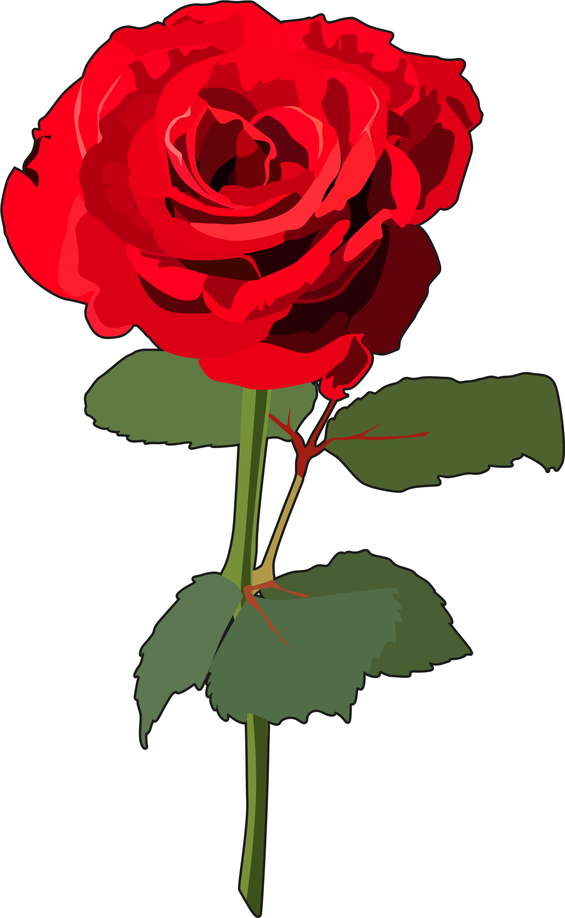 Rosa - Rosa Con Tallo Png (2480x3508), Png Download