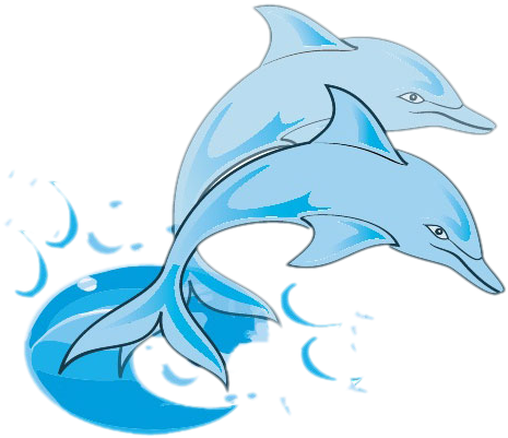 Bottlenose Dolphin Clip Art - Dodson Middle School (660x660), Png Download