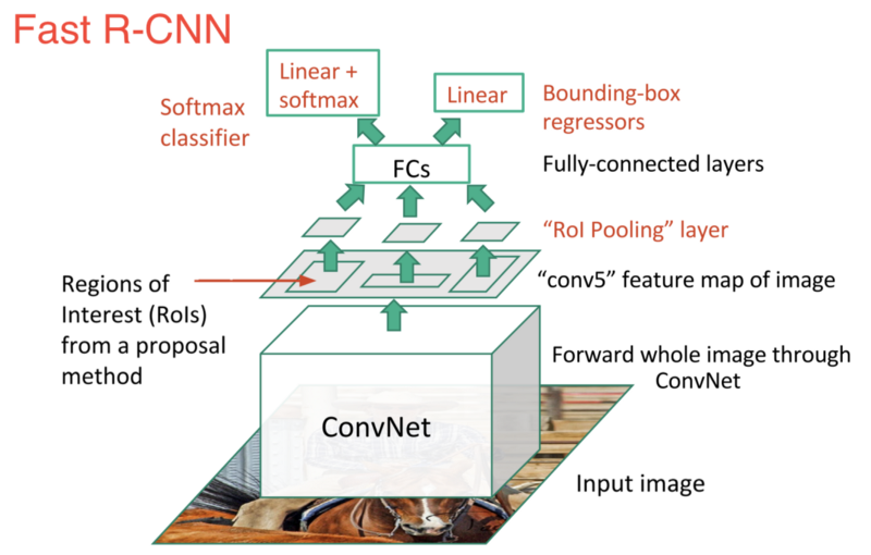 As We Can See From The Image, We Are Now Generating - Faster R Cnn Network (800x510), Png Download