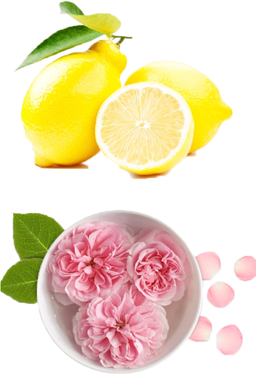 A Rose Is Also An Ancient Symbol Of Love And Beauty - Rose Water And Sandalwood Powder (500x750), Png Download