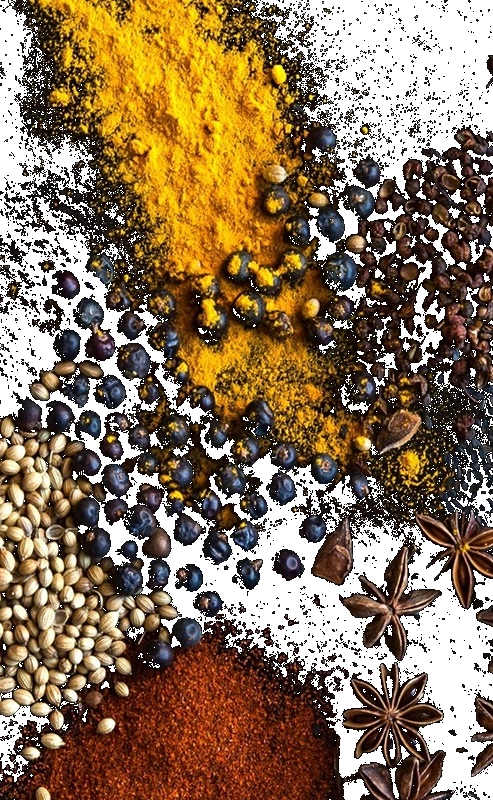 Autumn (493x800), Png Download