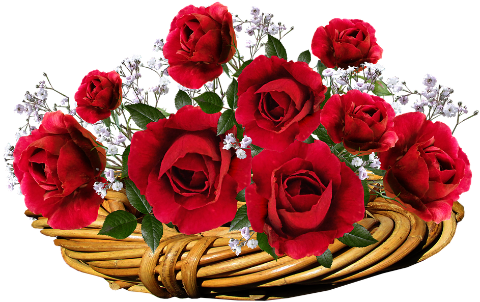 Roses, Red, Flowers, Romantic, Valentine, Basket - Valentine Red Roses Png Transparent (960x617), Png Download