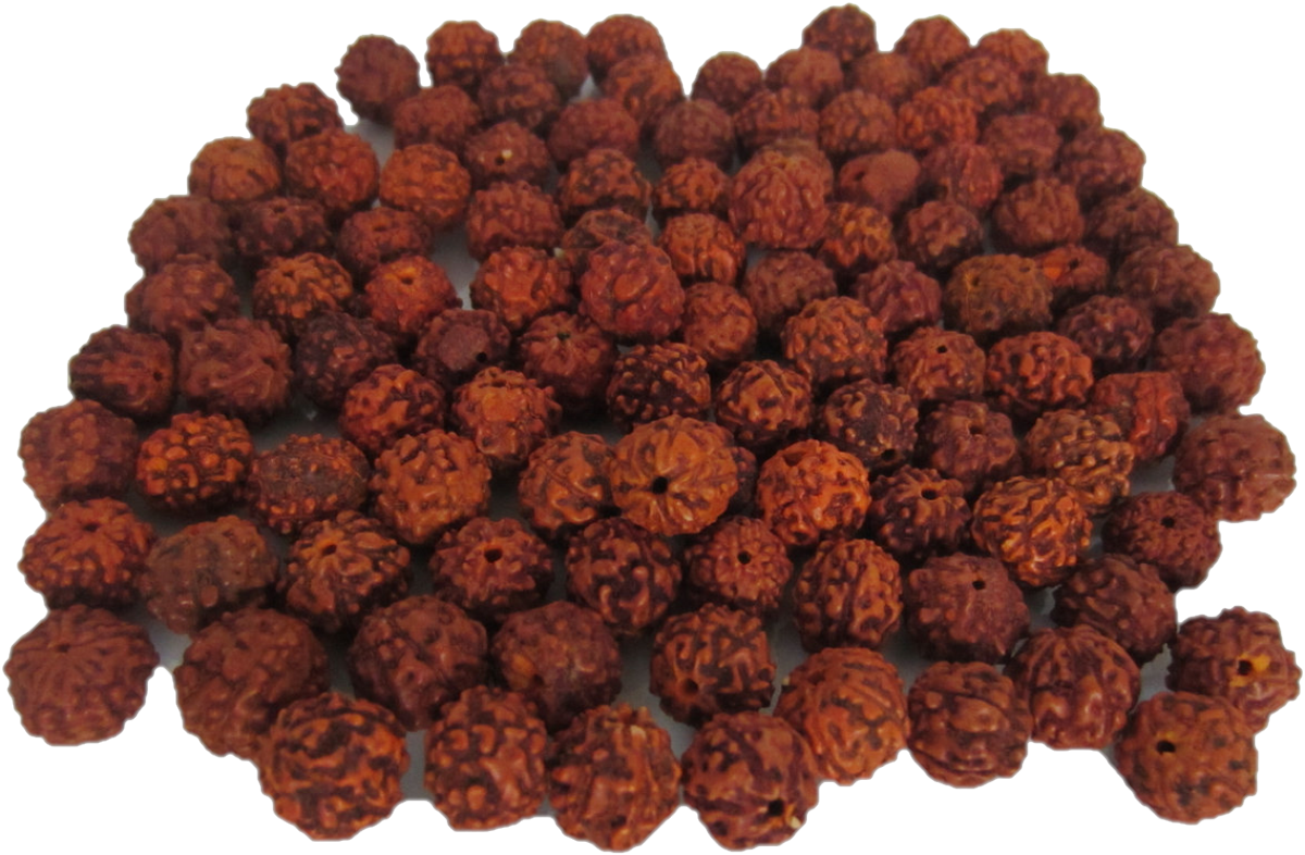 Rudraksha Malas Have Been Used By Hindus As Rosaries - Rudraksha Beads (1200x786), Png Download