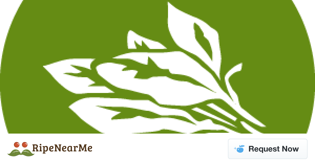 Illustration (1200x630), Png Download