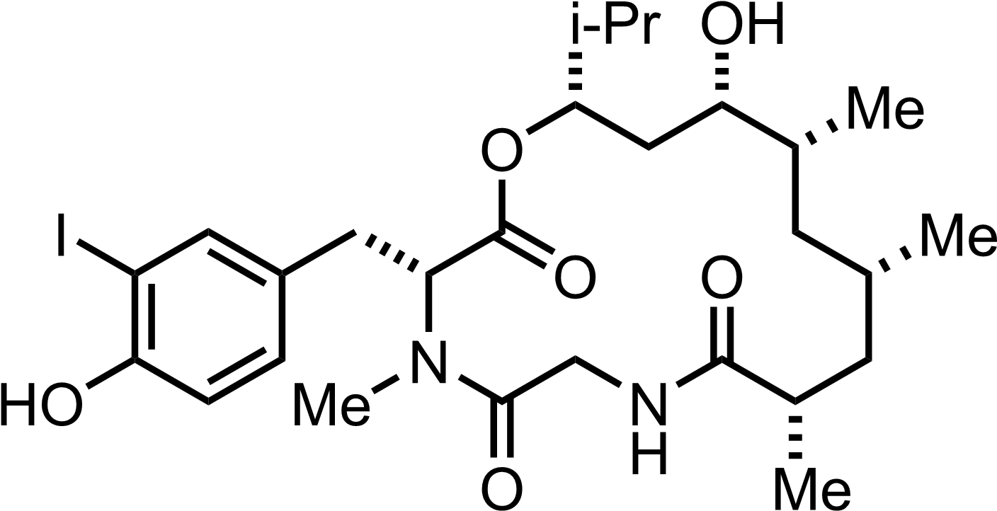 Structure Of Doliculide - Succinic Dihydrazide (1450x753), Png Download