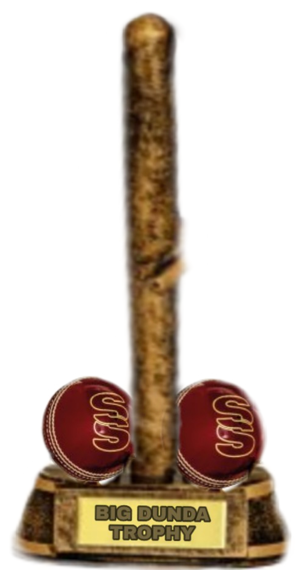 College Softball (480x928), Png Download