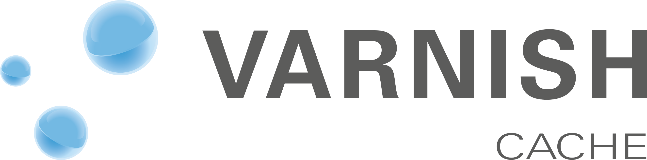 Varnishcache Rgb Gimp2 Alpha - Workforce Software Logo (2628x650), Png Download