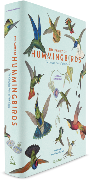 Ruby-throated Hummingbird (700x700), Png Download