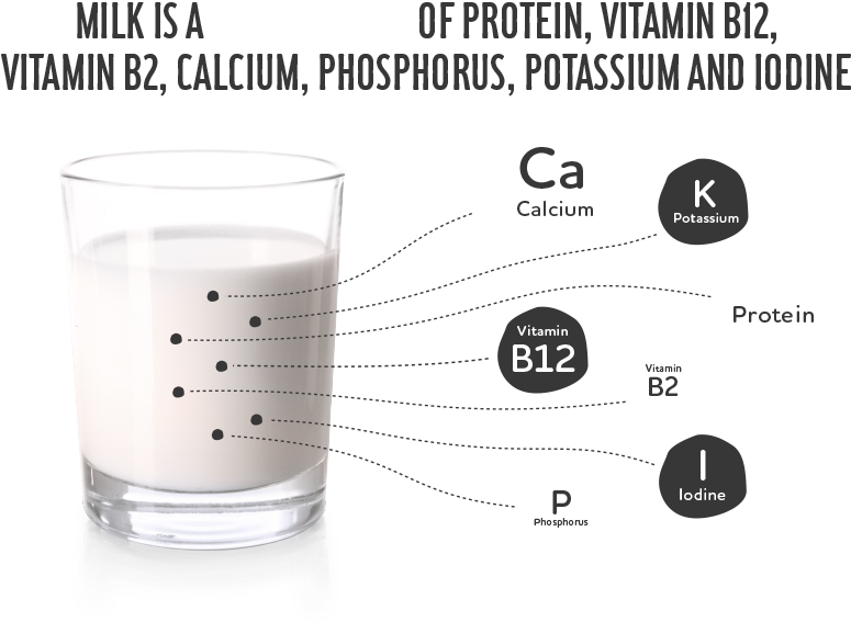 Company - Old Fashioned Glass (1020x717), Png Download