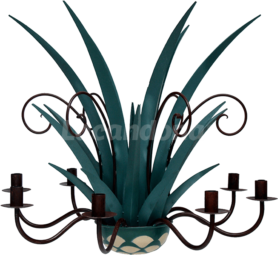 Agave Chandelier - Agave Azul (1000x1000), Png Download