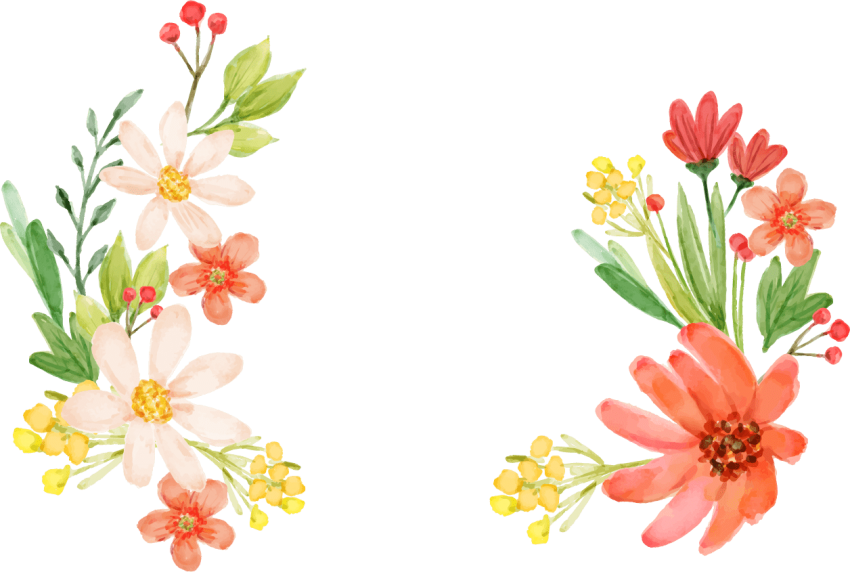 Free Png Transparent Flowers Png Image With Transparent - Transparent Flower Clip Art (850x572), Png Download