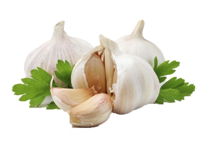Allium Sativum L (810x609), Png Download