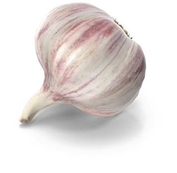 Garlic Png Free Download - Garlic (600x600), Png Download