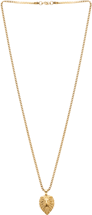 Lion Necklace - Gold - Marcozo - Necklace (800x800), Png Download