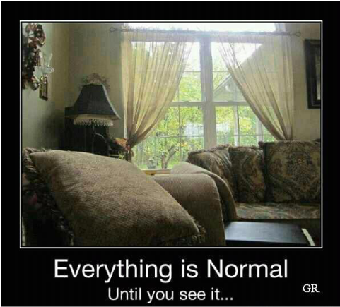 Meme - Pareidolia Scary (480x762), Png Download