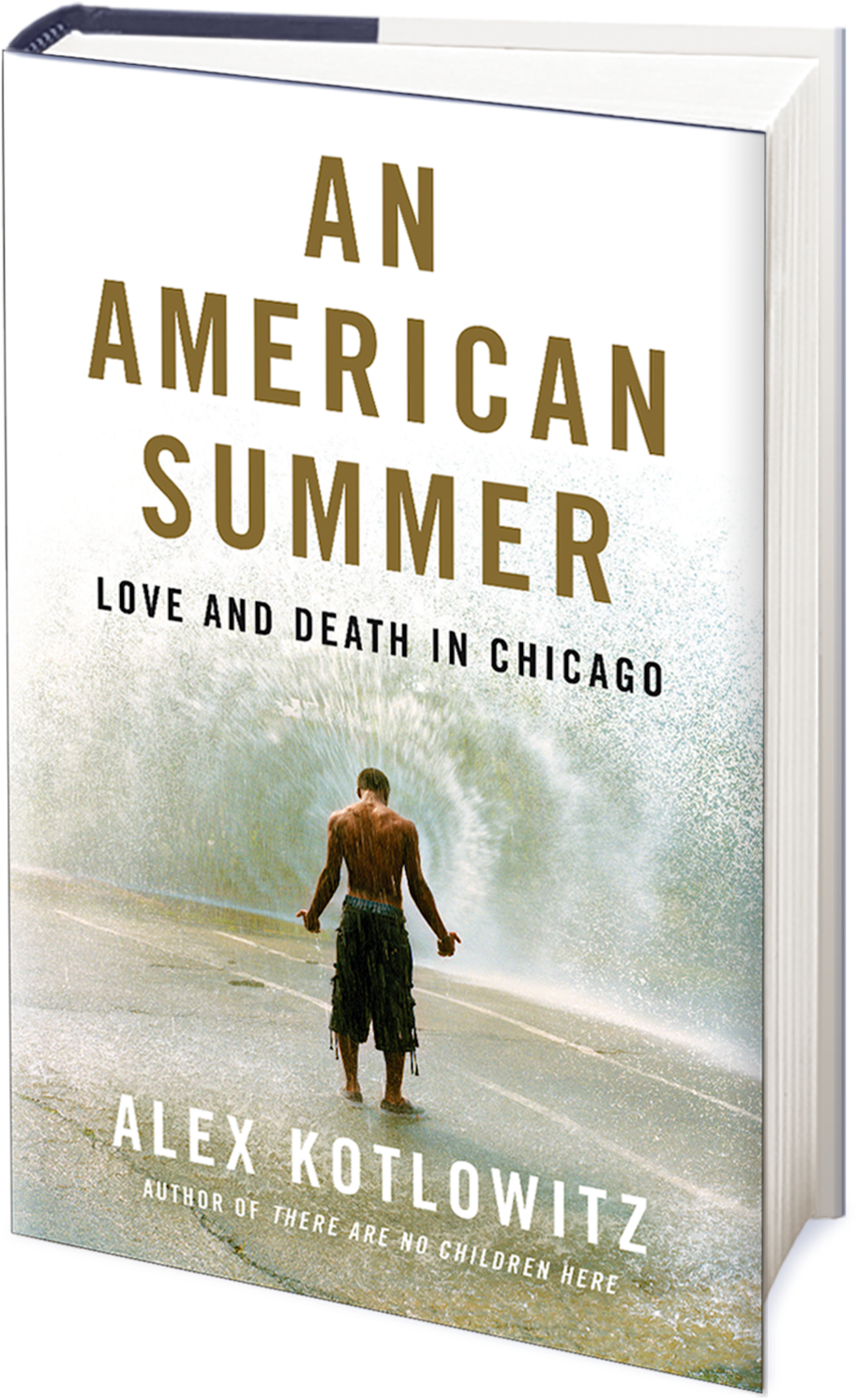 American Summer 3d - Poster (1000x1596), Png Download