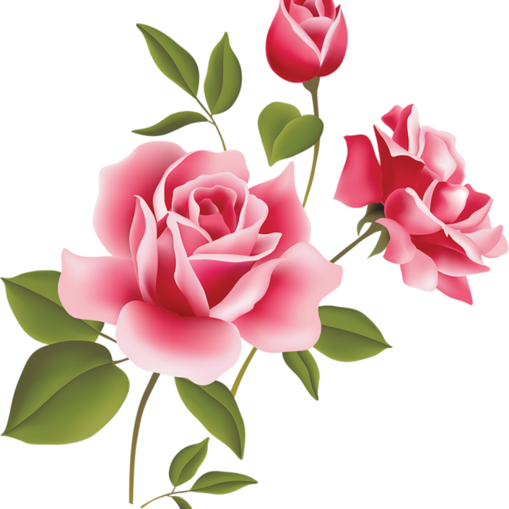 Pink Rose Clipart Pink Rose Art Picture Clipart Clipart - Rose Flowers Vector Png (1024x1024), Png Download