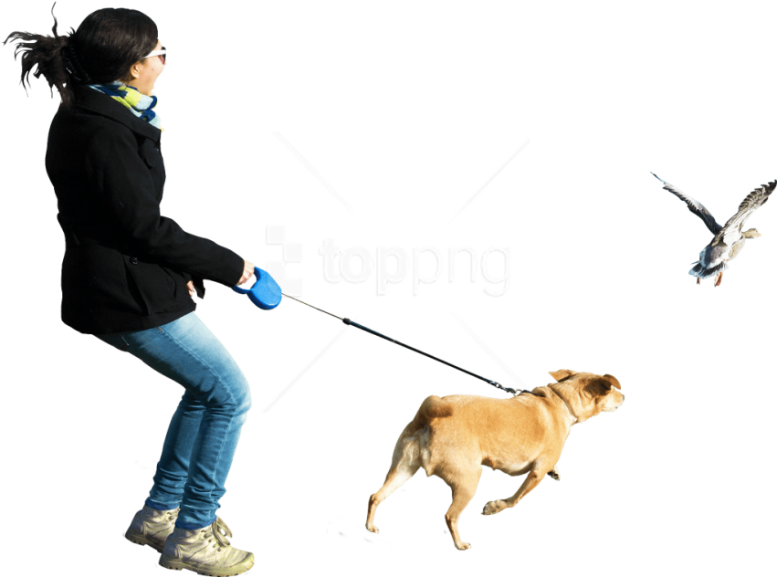 Free Png Download Dog Running At Birds Png Images Background - Dog Running Transparent Background (850x668), Png Download