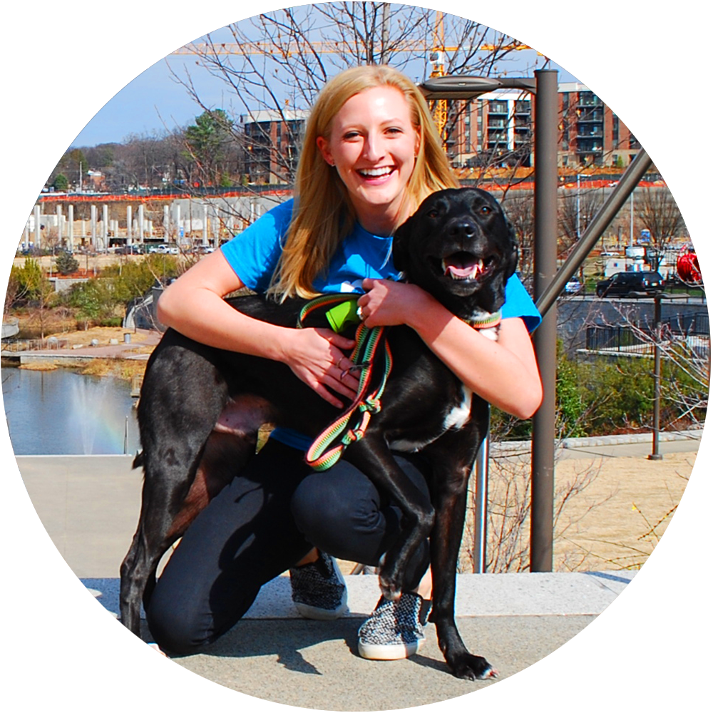 20 Pack Walks - Companion Dog (1000x1000), Png Download