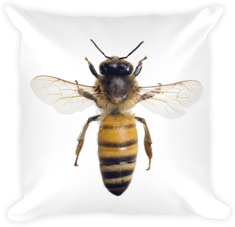 Honey-bee Print Square Pillow - Honey Bee Wings Out (1000x1000), Png Download