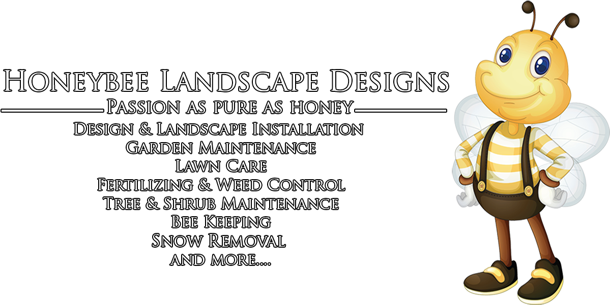 Mission Statement - Cartoon (1565x672), Png Download