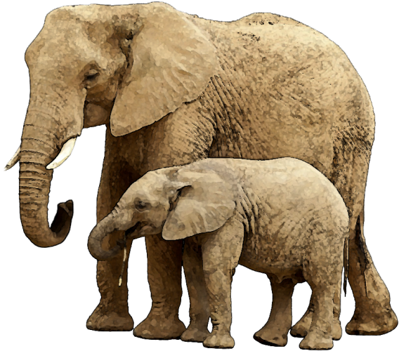 Baby Elephant Png Image With Transparent Background - Elephant And Child (640x537), Png Download
