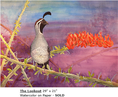 Quail (380x570), Png Download