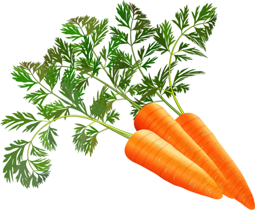 Shutterstock 196445096 [преобразованный] - Carrot Clipart .png (500x412), Png Download