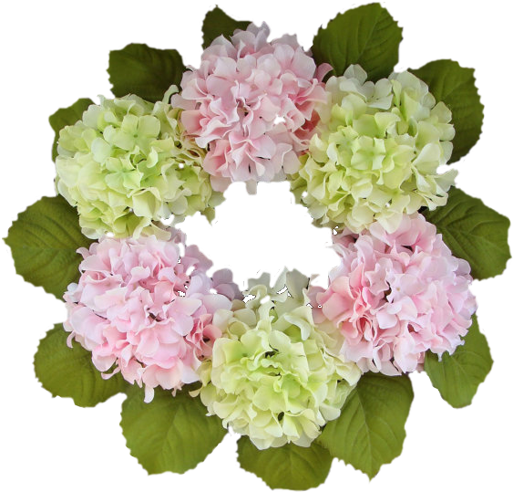 Forgetmenot Frames Png Pinterest And More - Portable Network Graphics (570x548), Png Download