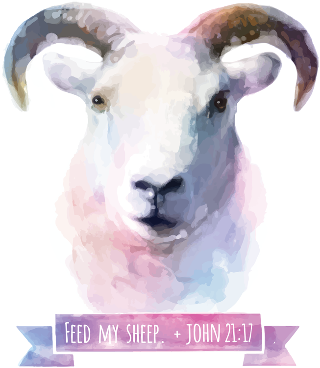 Feed My Sheep - Animal Watercolor Background Art (800x800), Png Download