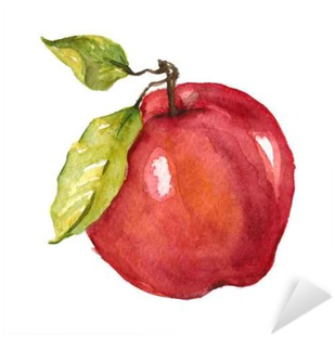 Apple Fruit Drawing Watercolor (400x400), Png Download