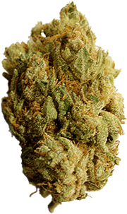 New Marijuana Leaf Transparent Background 13 Weed Leaf - Medical Marijuana (400x318), Png Download