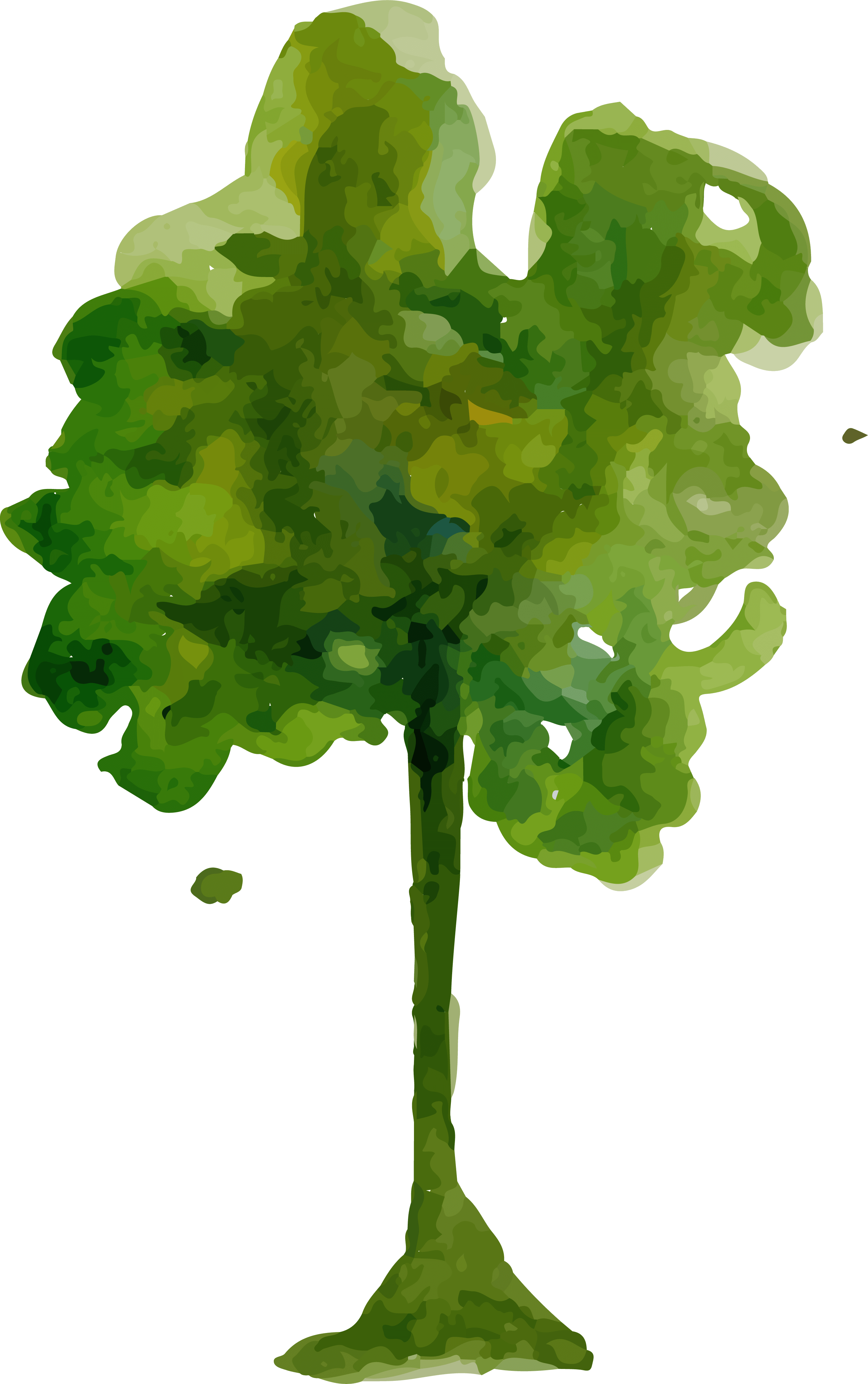 Watercolor Trees Png - Water Color Tree Png (2774x4421), Png Download