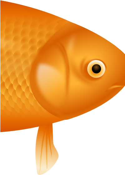 Example Image Of A Fish - Goldfish (400x600), Png Download