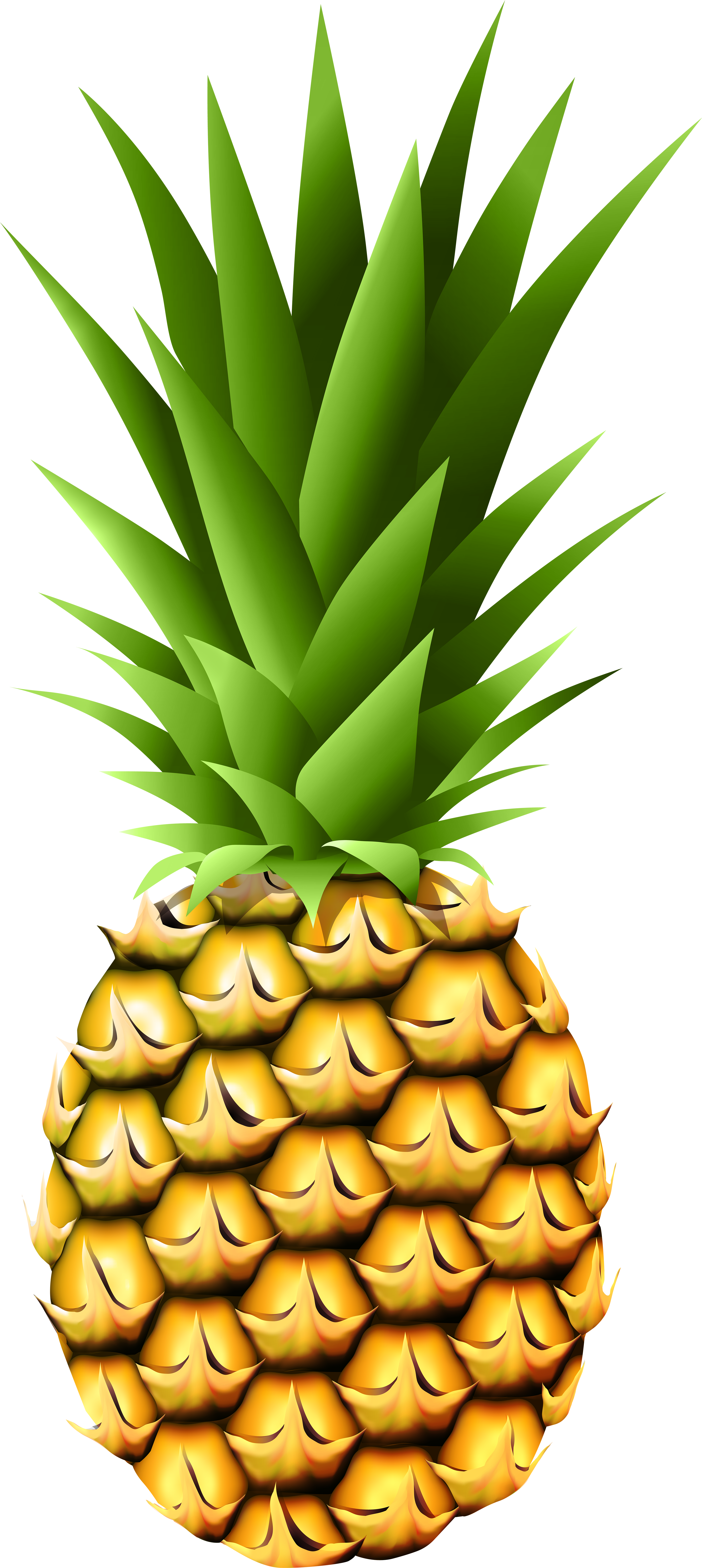 Transparent Png Clip Art - Pineapple Transparent (3589x8000), Png Download