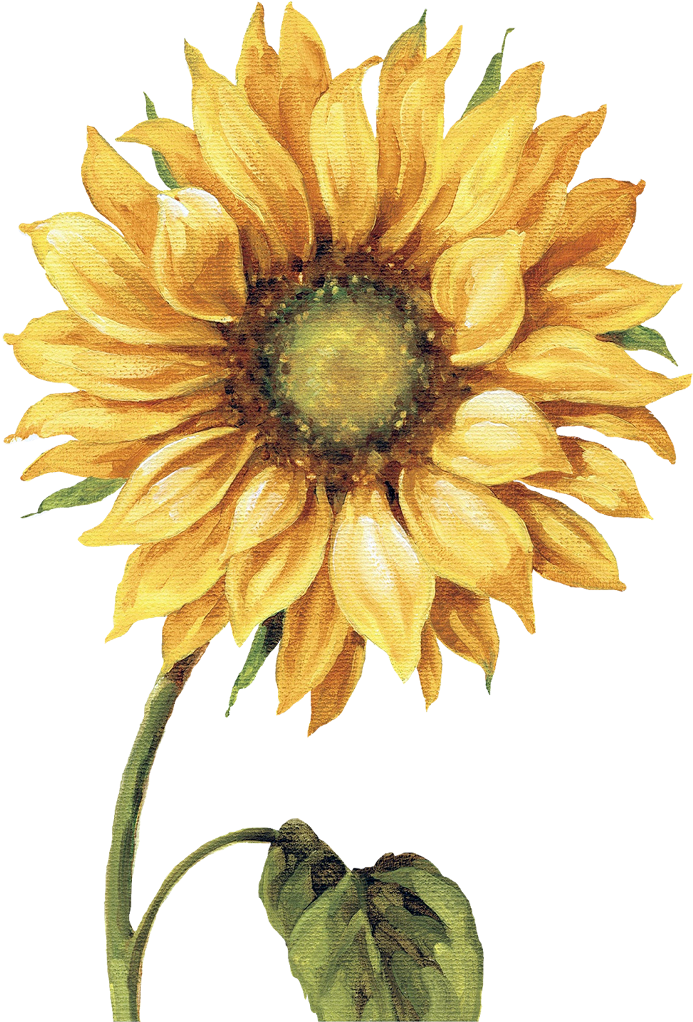 Chalkboard Clipart Sunflower - Lisa Audit - Under The Sun I Canvas (1230x1600), Png Download