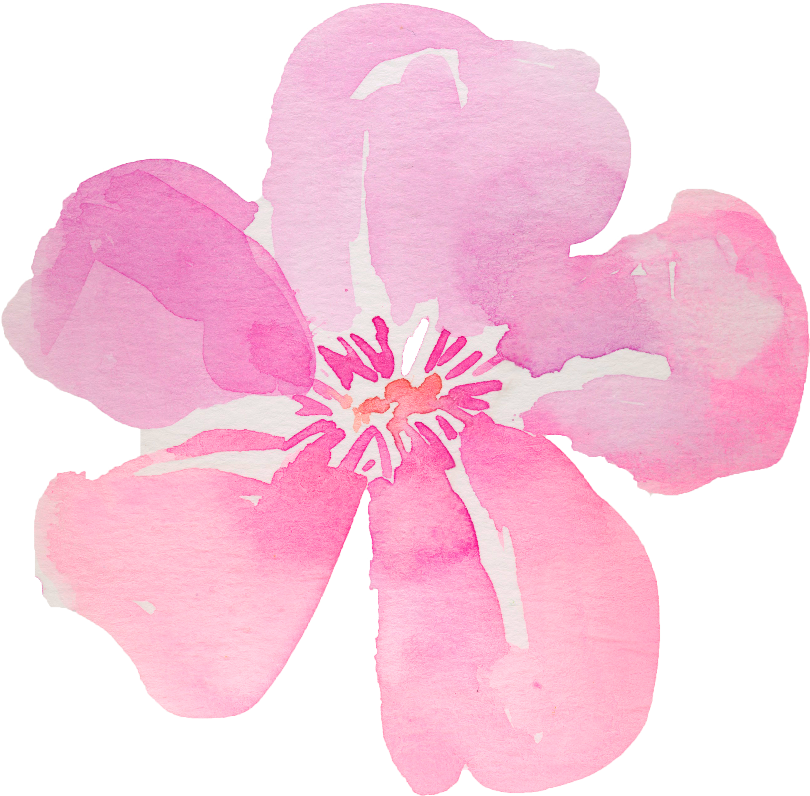 5 - Flowers Hibiscus Png Watercolor (2578x2534), Png Download
