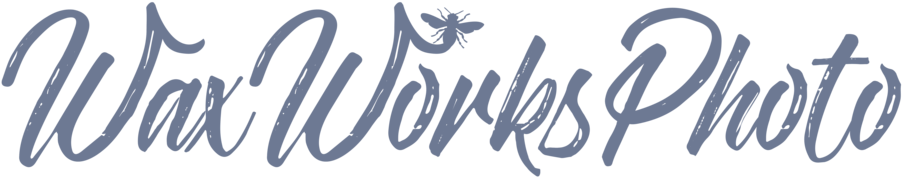 Newlogo (1000x284), Png Download