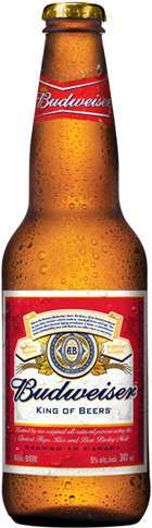 Download Budweiser Bottle Png - Budweiser Beer Bottle Png - Full Size ...
