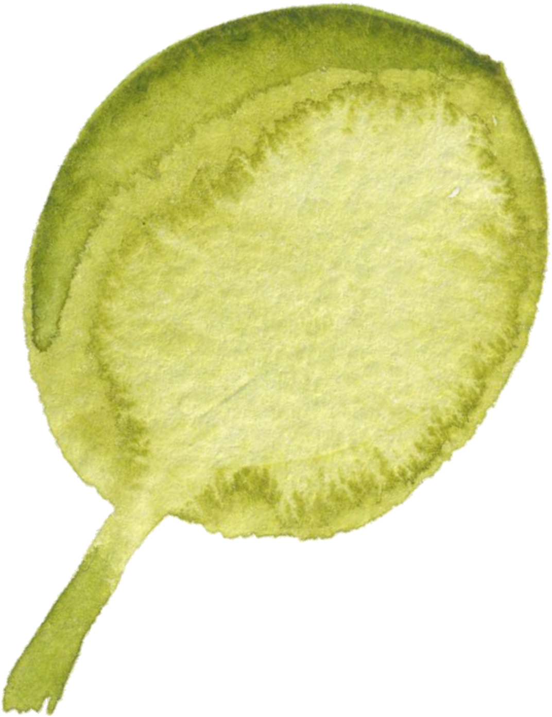 How Does A Treatment Feel - Kiwifruit (1625x1760), Png Download