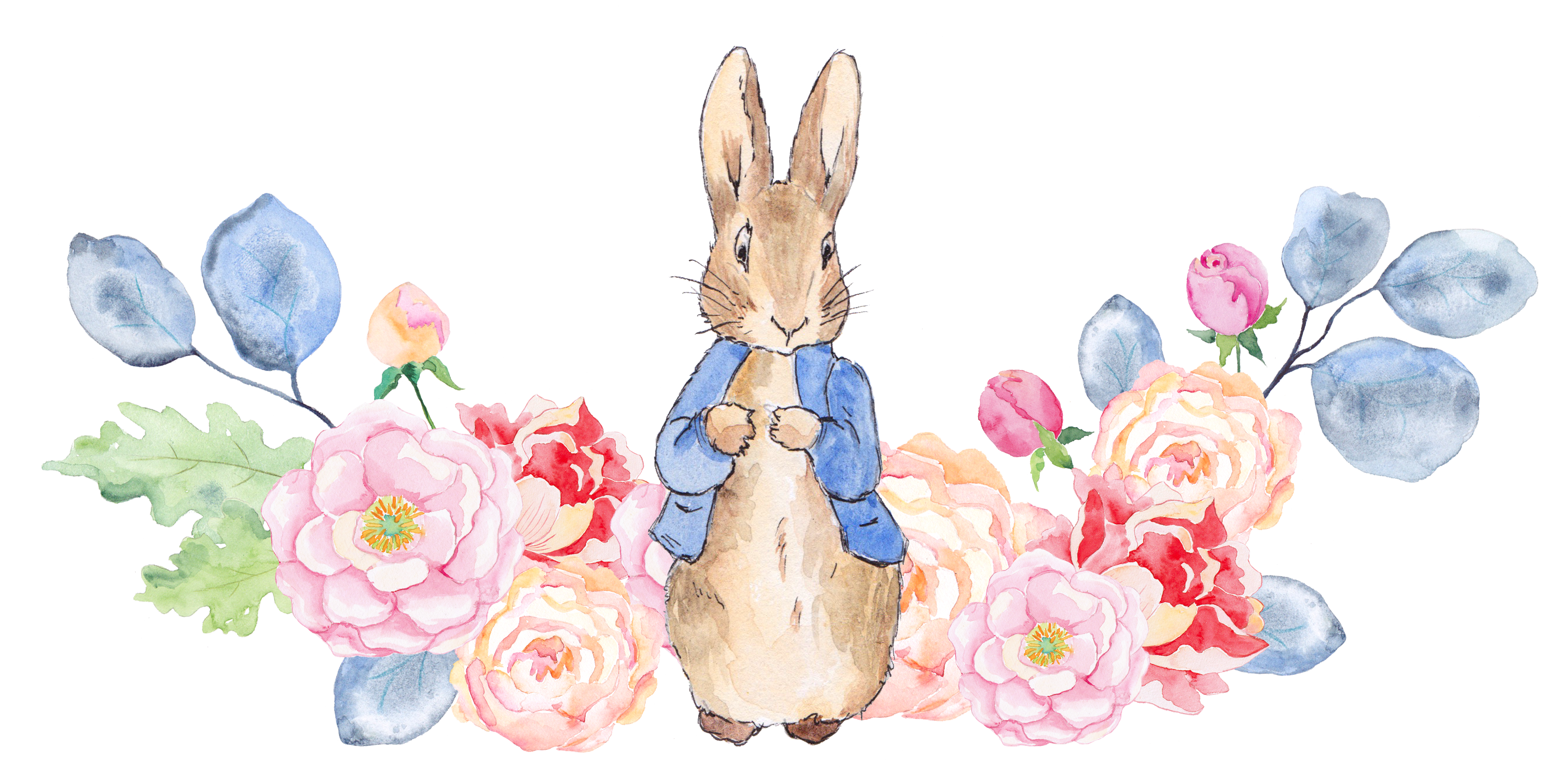 Pion123 - Peter Rabbit Watercolor Elements (3394x1705), Png Download